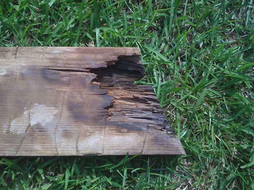 Slide of The Roof Factory