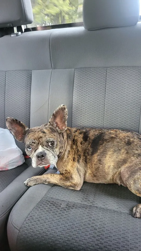 Slide of The Roof Gallery