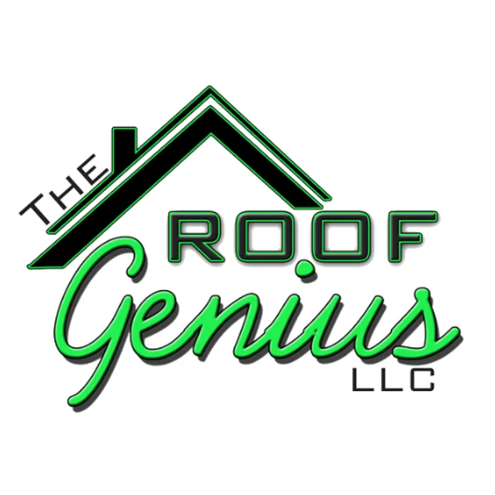 Slide of The Roof Genius