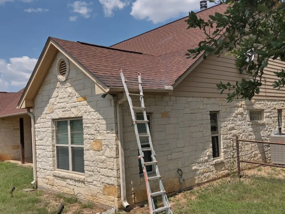 Slide of The Roof Goose