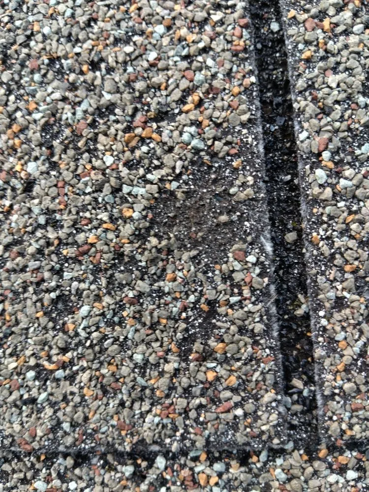 Slide of The Roof Goose