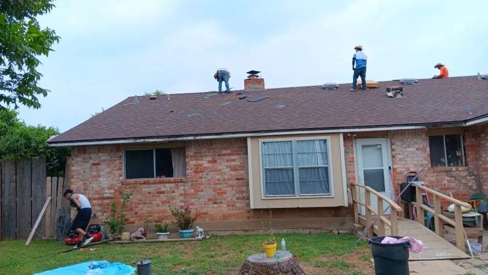 Slide of The Roof Goose