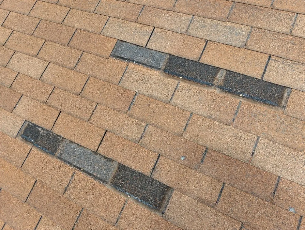 Slide of The Roof Goose