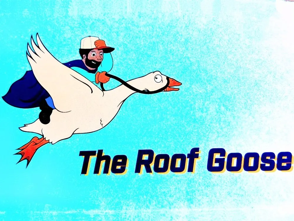 Slide of The Roof Goose