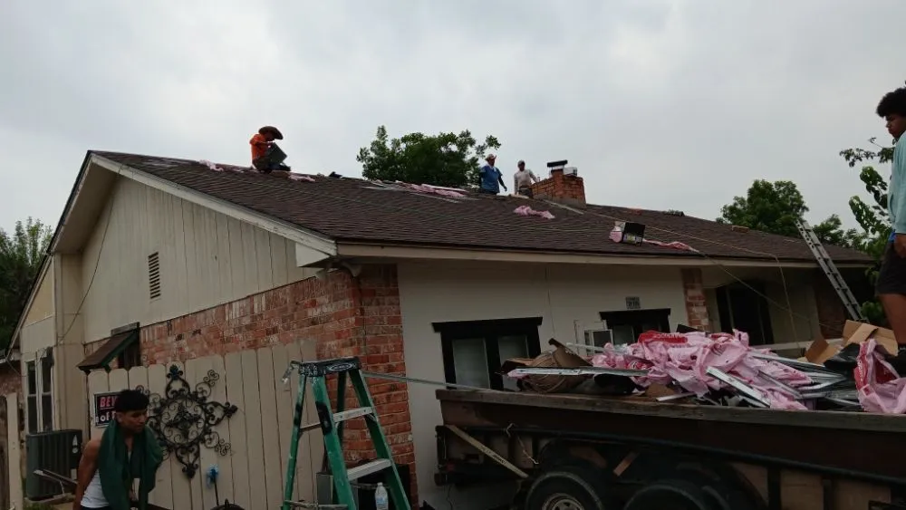 Slide of The Roof Goose