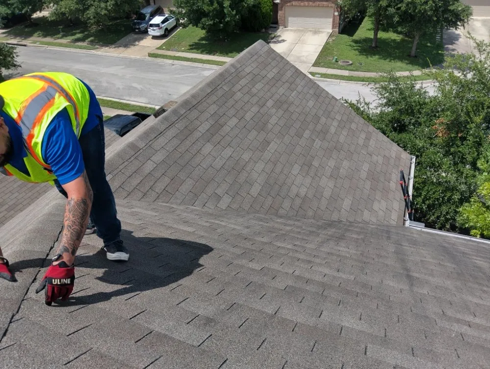 Slide of The Roof Goose