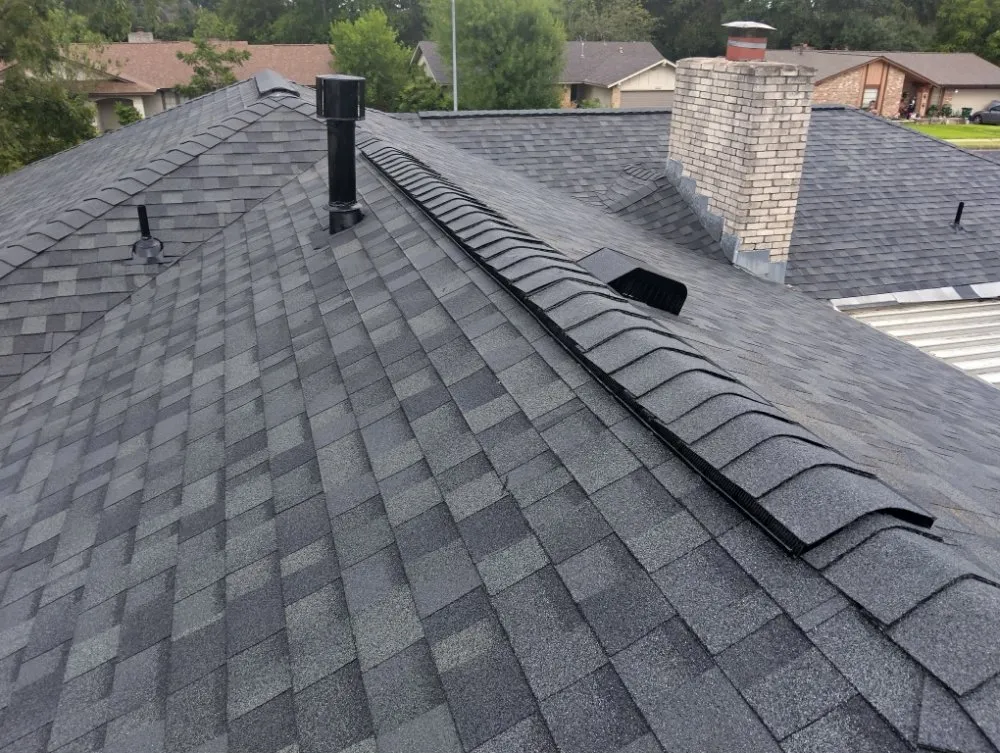 Slide of The Roof Goose