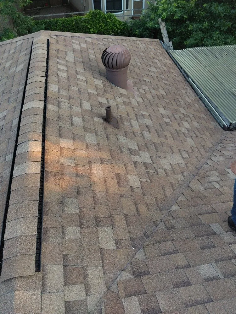 Slide of The Roof Goose