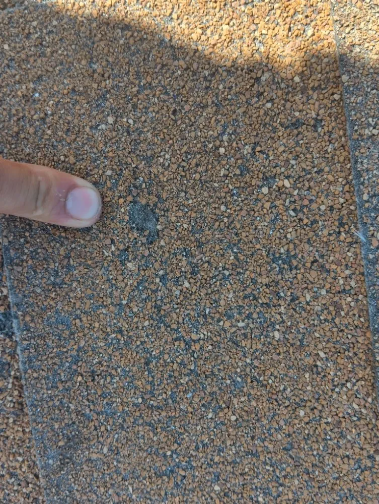 Slide of The Roof Goose