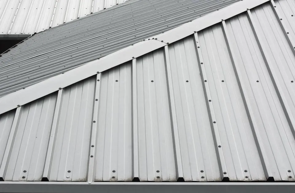 Slide of The Roof Guy