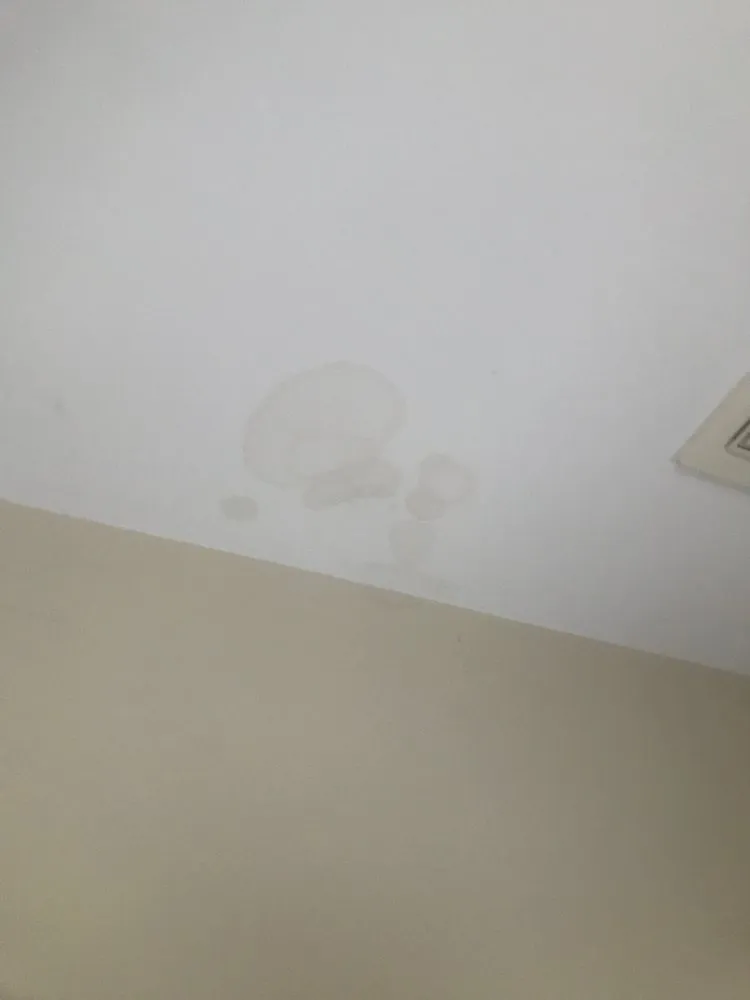 Slide of The Roof Guy