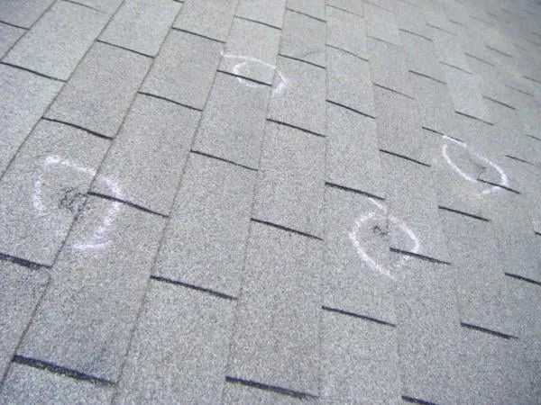 Slide of The Roof Guys