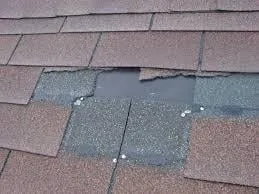 Slide of The Roof Guys