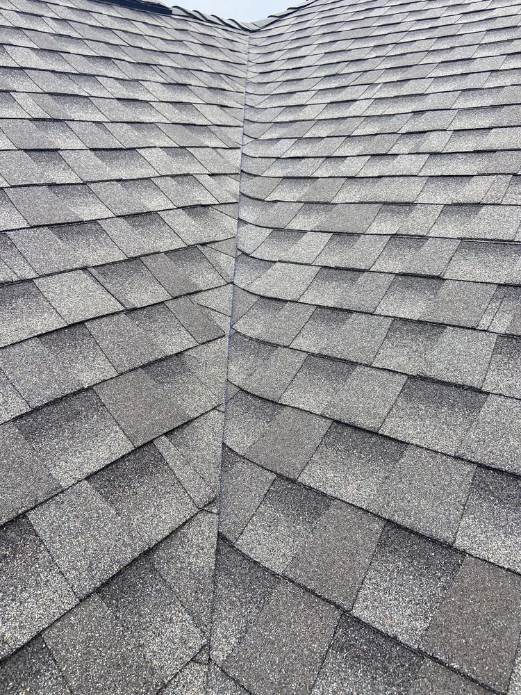 Slide of The Roof Joker