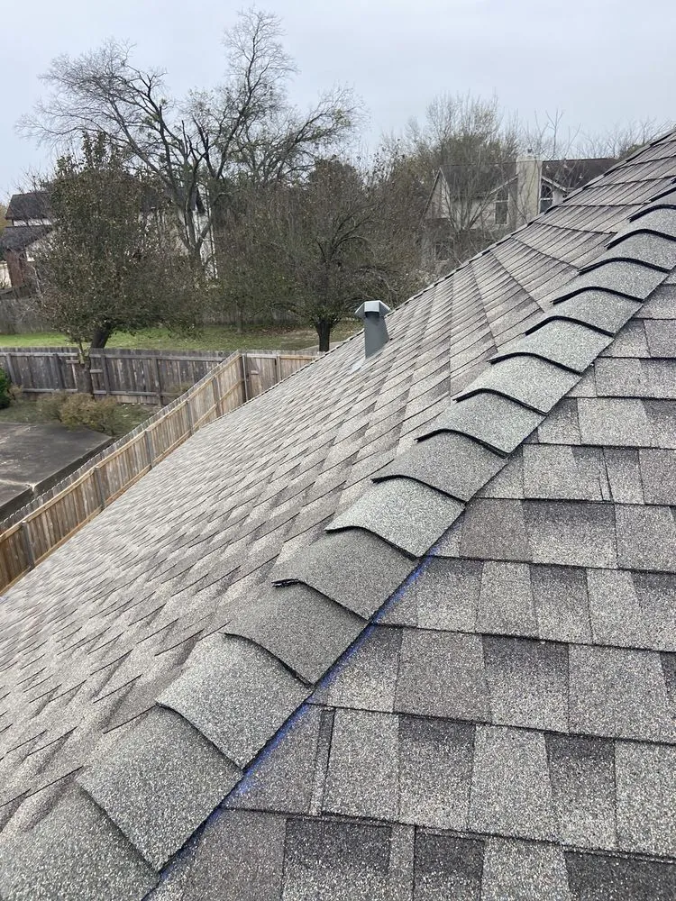 Slide of The Roof Joker