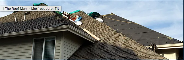 Slide of The Roof Man