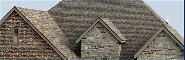 Slide of The Roof Man