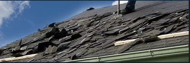 Slide of The Roof Man