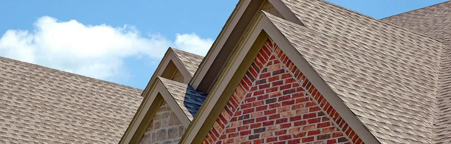 Slide of The Roof Man