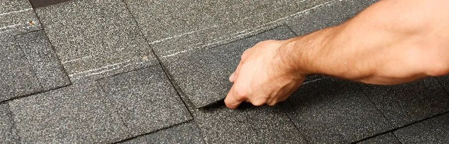 Slide of The Roof Man