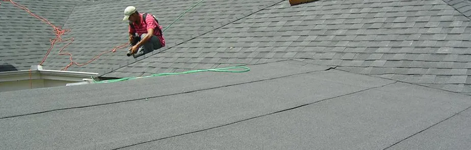 Slide of The Roof Man