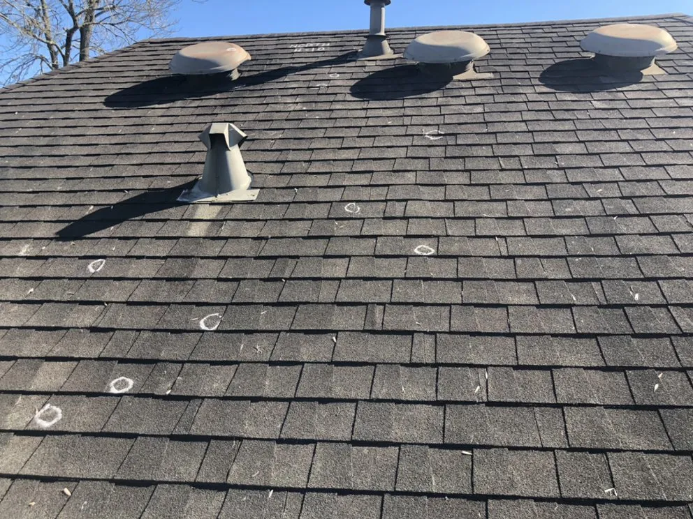 Slide of The Roof Man