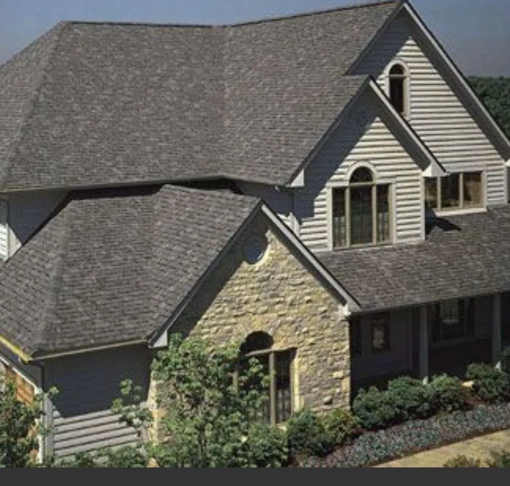 Slide of The Roof Man