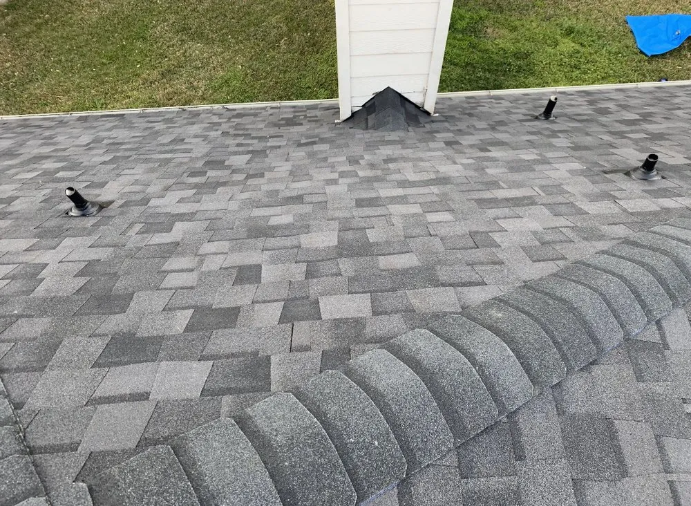 Slide of The Roof Man