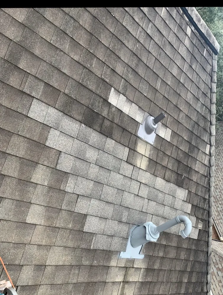 Slide of The Roof Man