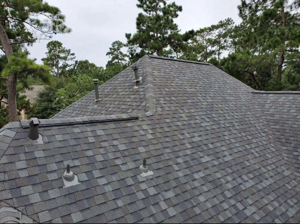 Slide of The Roof Man