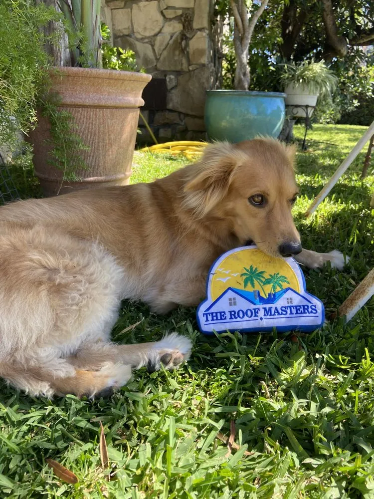 Slide of The Roof Masters