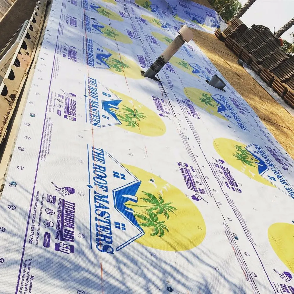 Slide of The Roof Masters