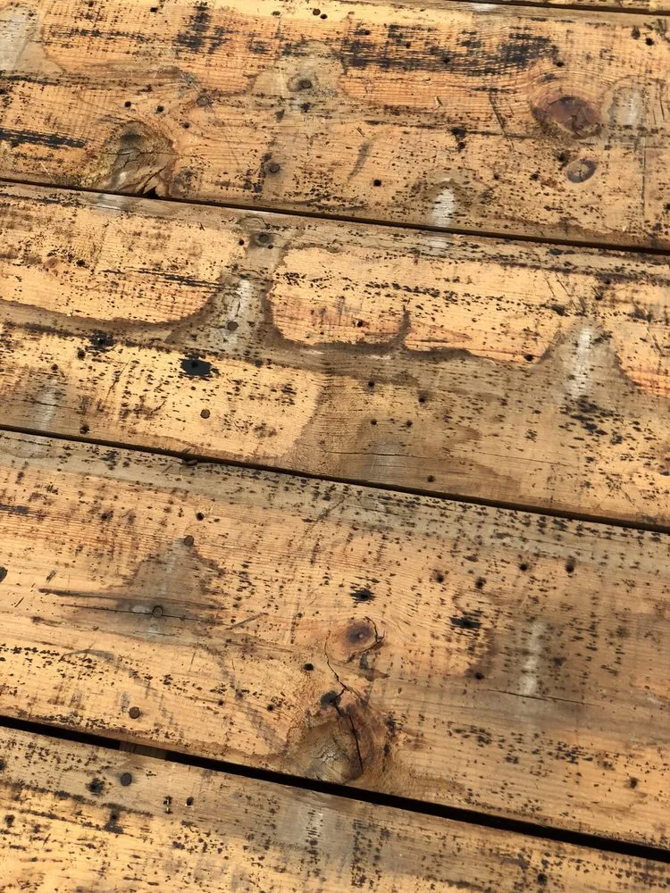 Slide of The Roof Medic