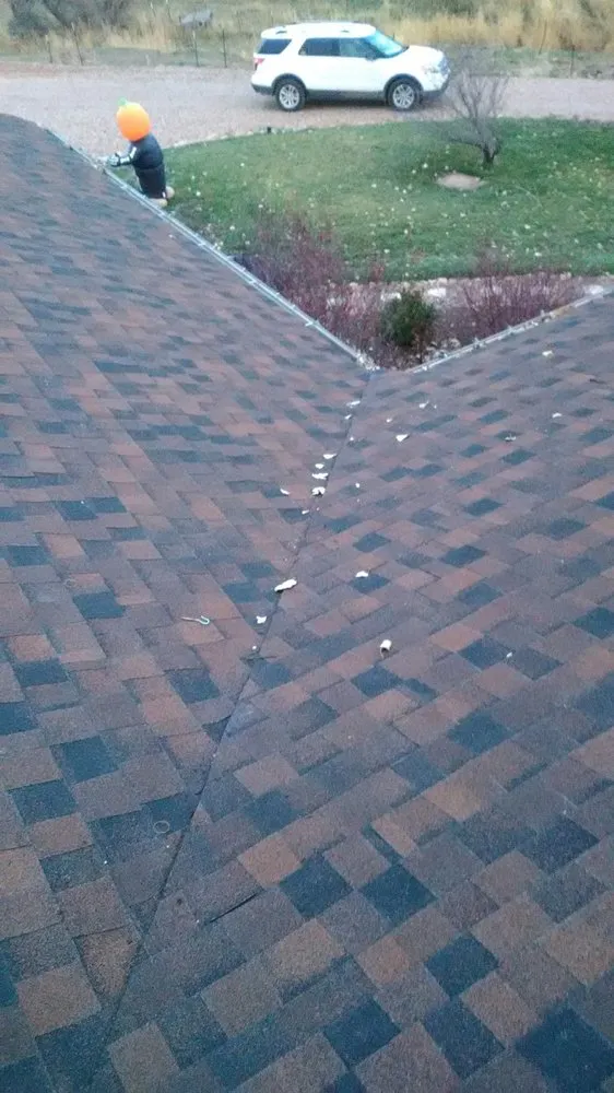 Slide of The Roof Ninja