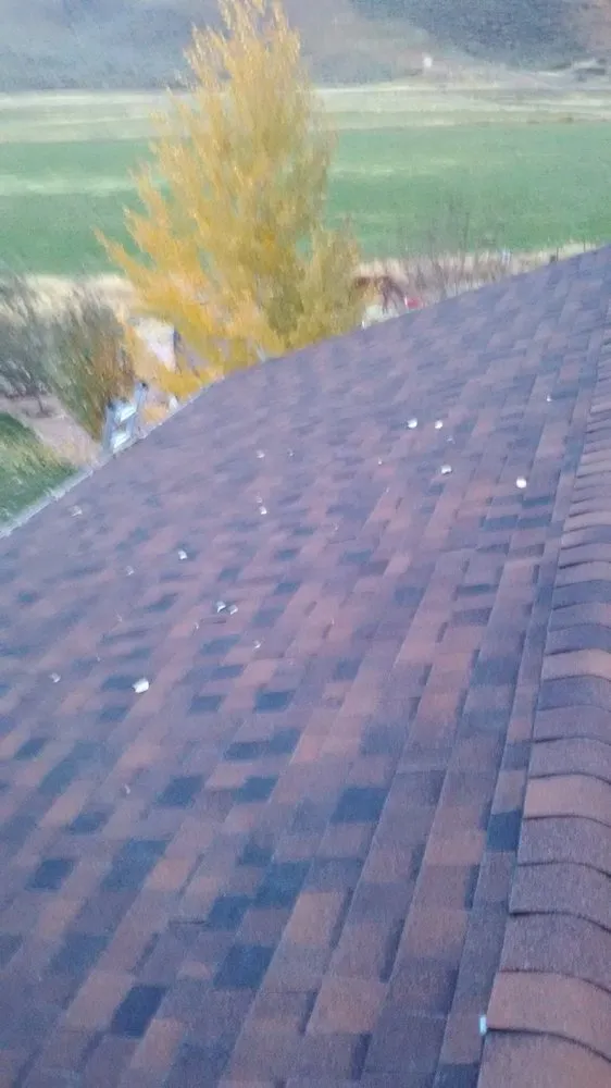 Slide of The Roof Ninja