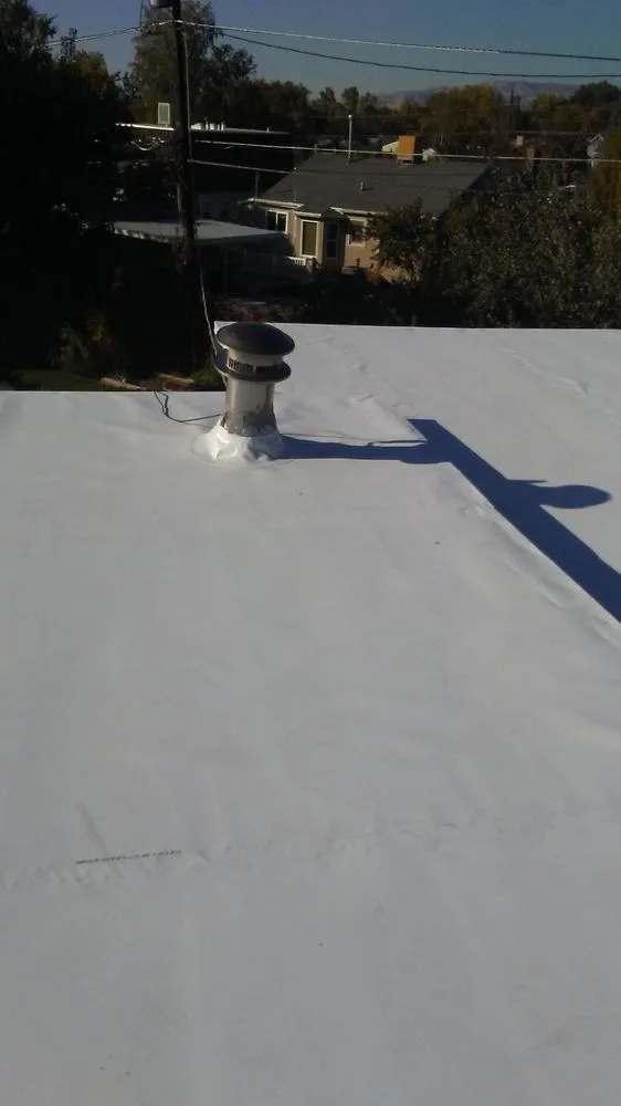 Slide of The Roof Ninja