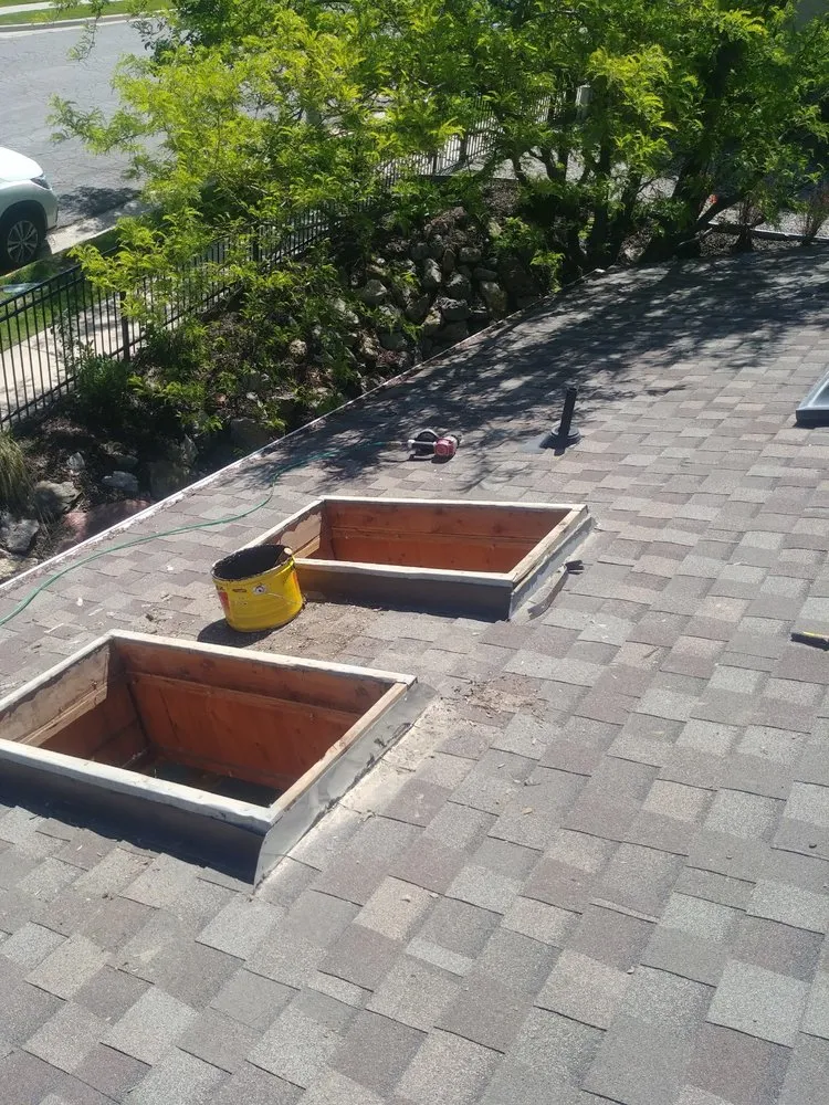 Slide of The Roof Ninja