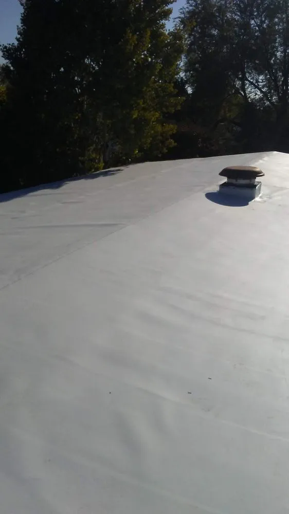 Slide of The Roof Ninja