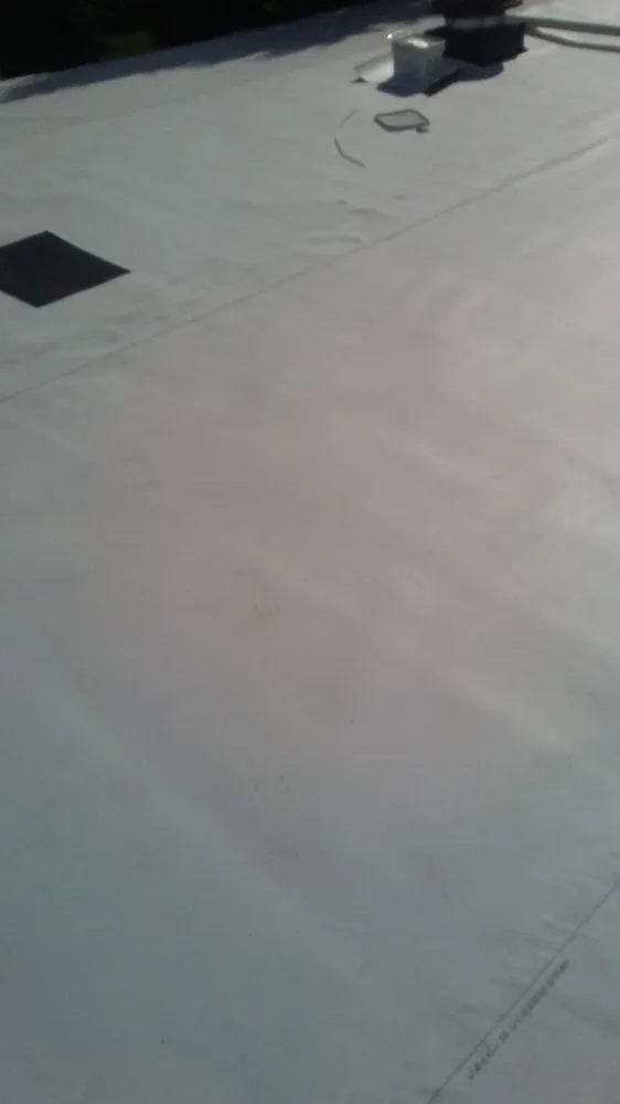 Slide of The Roof Ninja