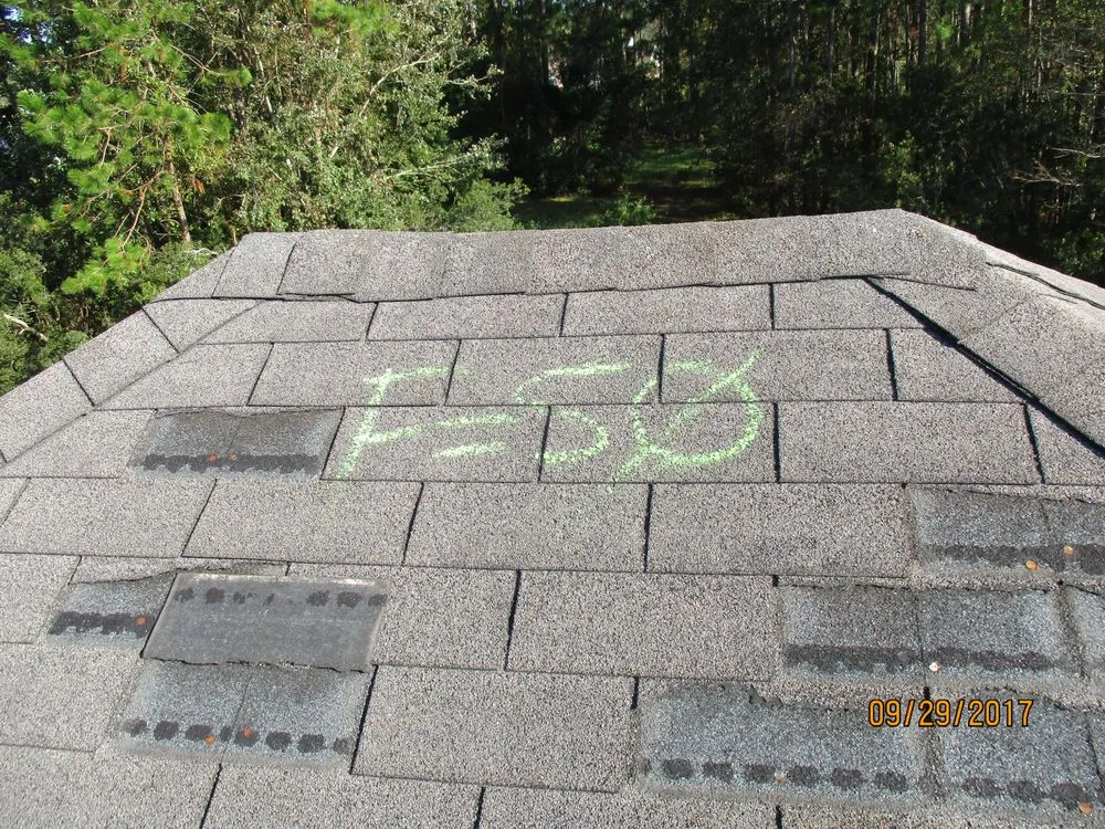 Slide of The Roof Professor