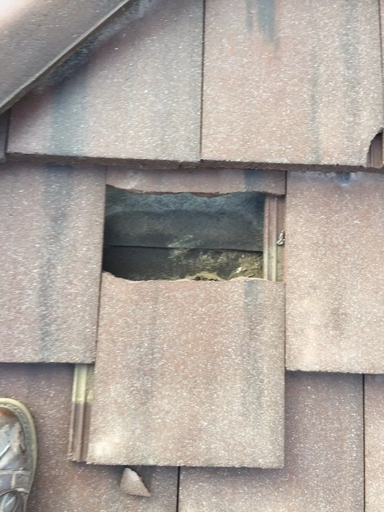 Slide of The Roof Repair Guy