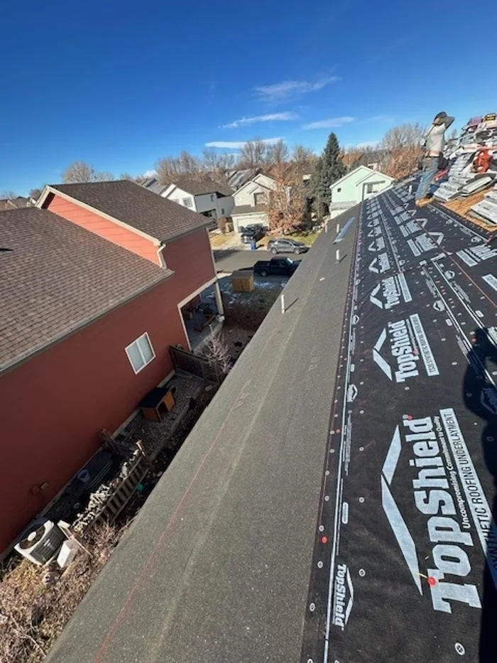 Slide of The Roof Resource