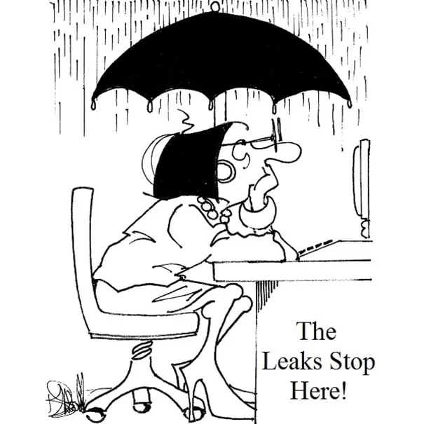 Slide of The Roof Saver