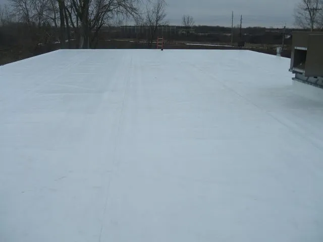 Slide of The Roof Saver