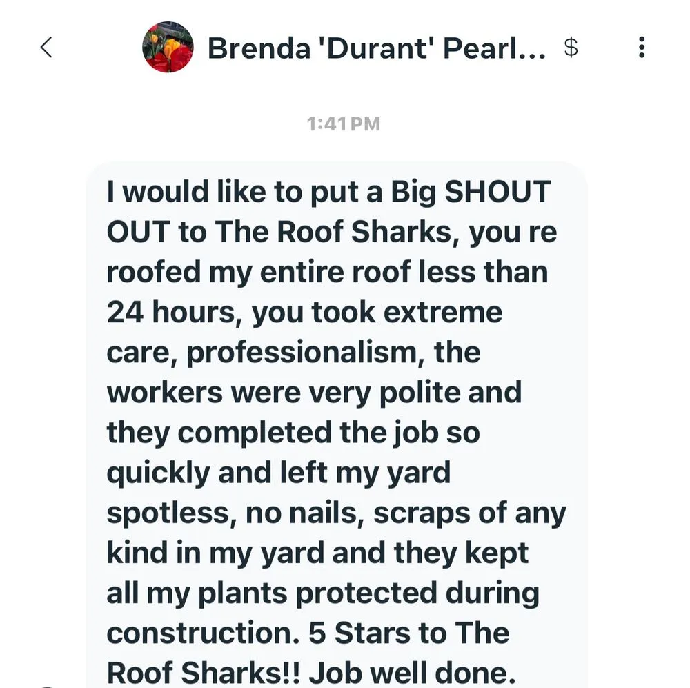 Slide of The Roof Sharks