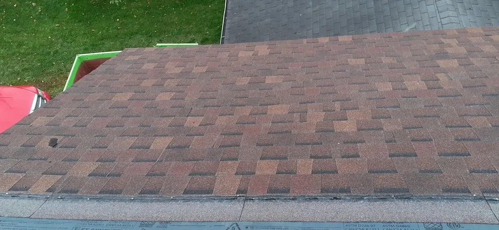 Slide of The Roof Sharks