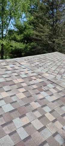 Slide of The Roof Sharks