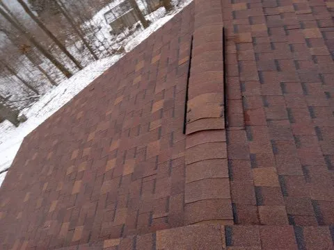 Slide of The Roof Sharks