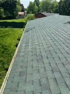 Slide of The Roof Sharks