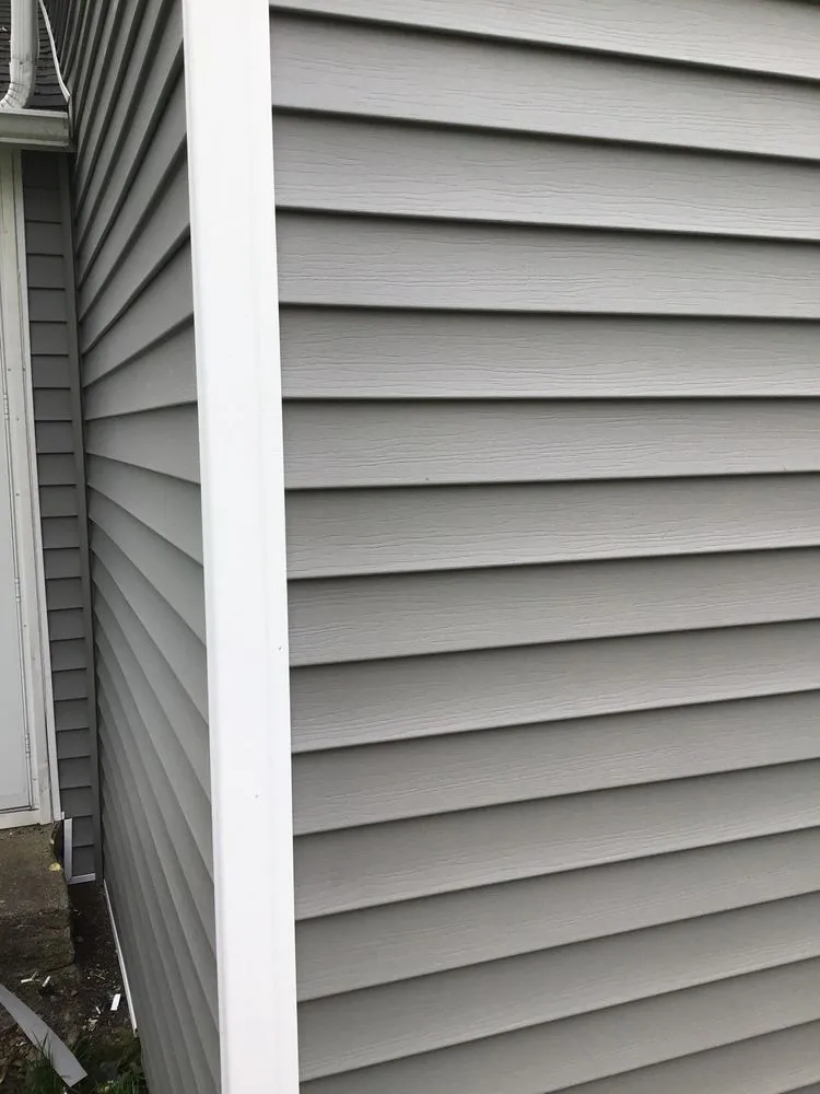 Slide of The Roof Sharks